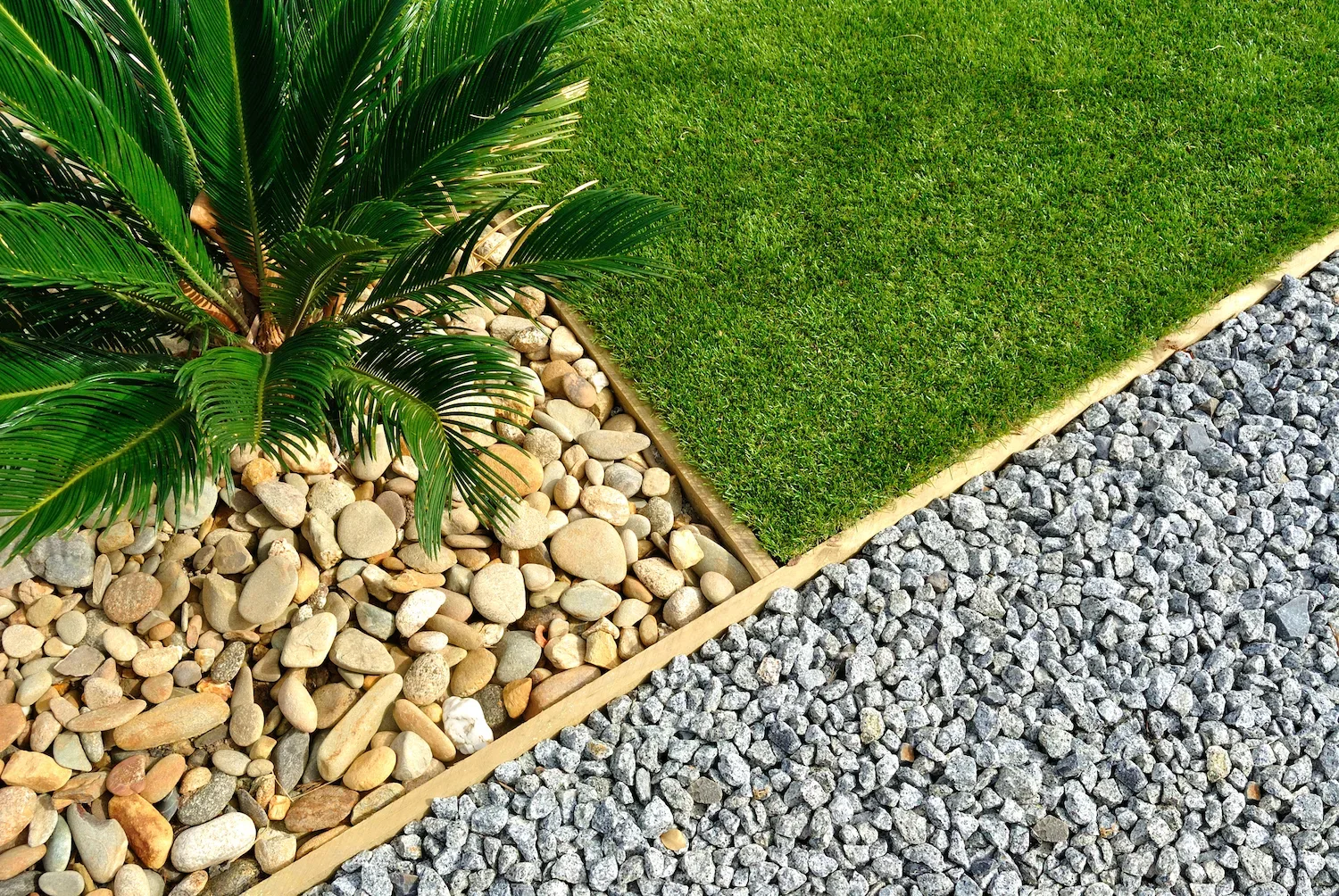 Landscaped garden with stone feature wall and palm trees at dusk